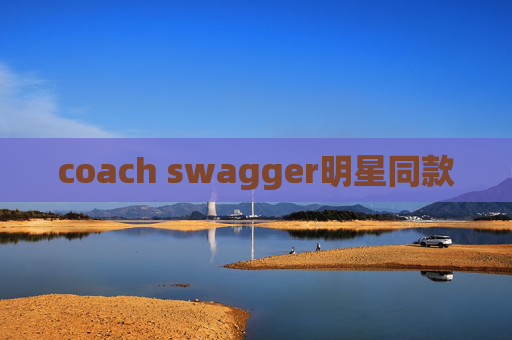 coach swagger明星同款